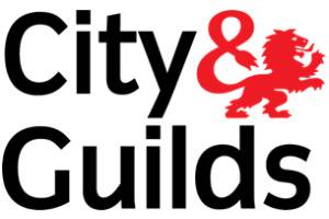 city guilds logo 1 (1)
